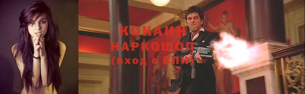 гидра Бердск