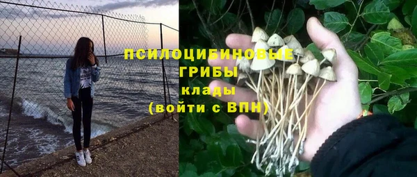 эйфоретик Магадан
