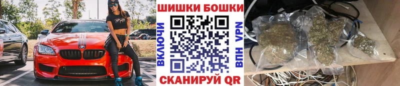 где купить наркотик  Шагонар  ссылка на мегу зеркало  МАРИХУАНА сатива 